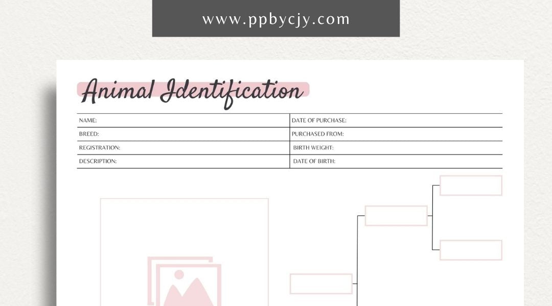 Animal Identification Printable PDF Template