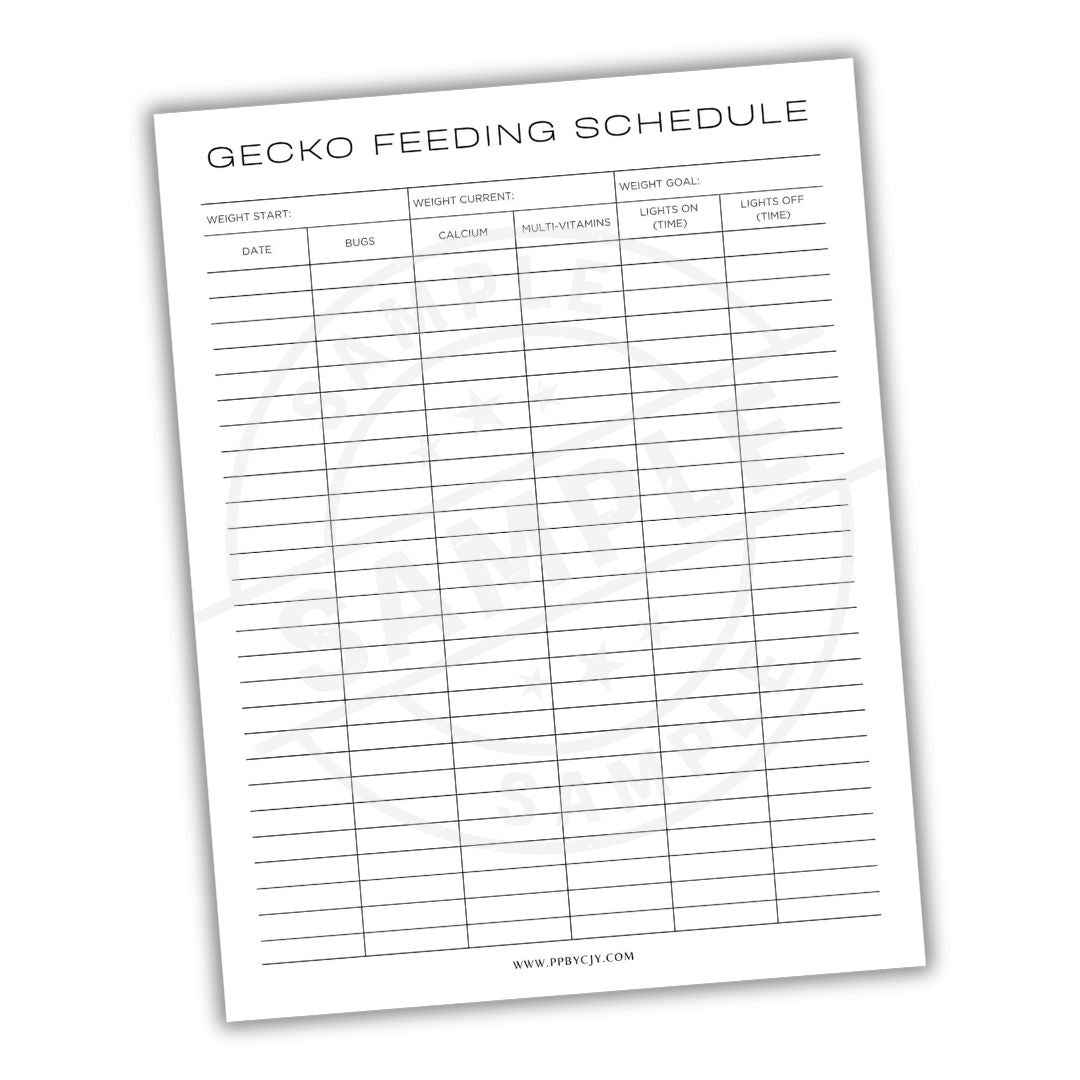 Gecko Feeding Schedule Printable PDF Track Diet Feeding Times gecko-feeding-schedule-printable-pdf-track-diet-feeding-times