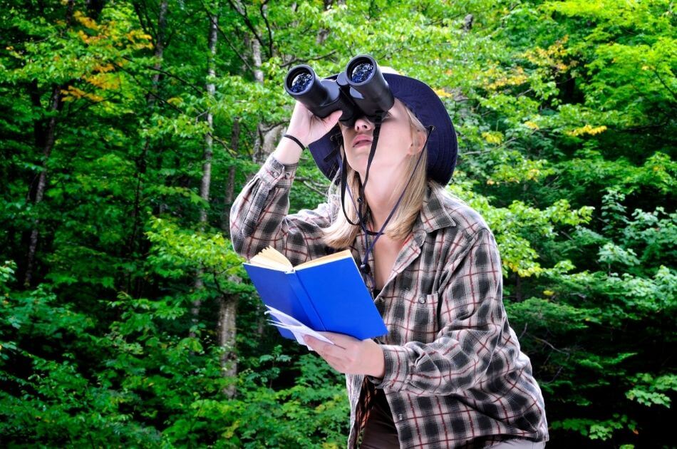 How a Bird Watching Planner Can Make Birding More Rewarding