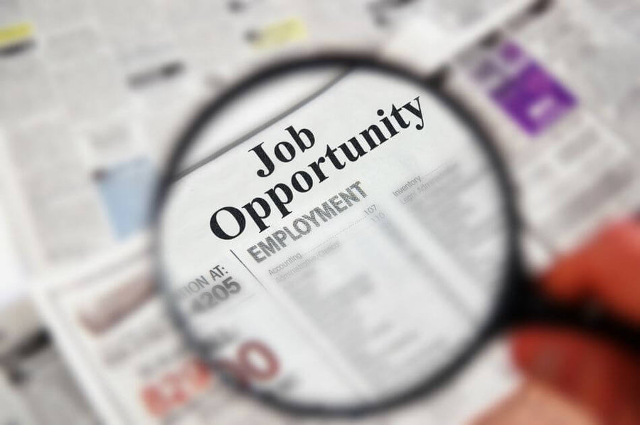 How to Stay Organized, Focused, and Consistent During a Job Search