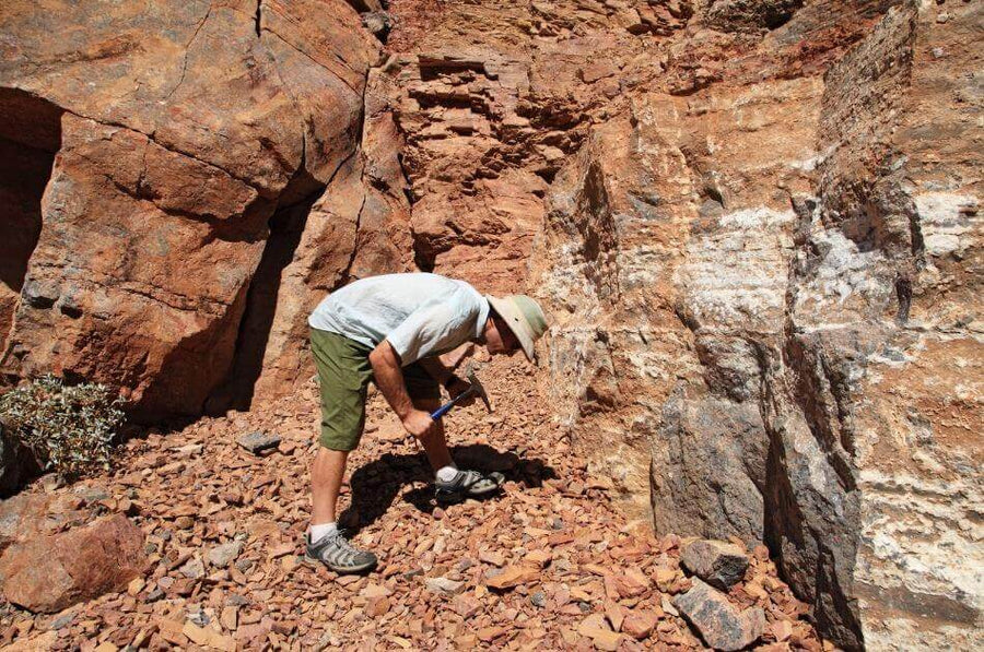 How to Organize Your Rock Collection and Get More Out of Every Rockhounding Adventure