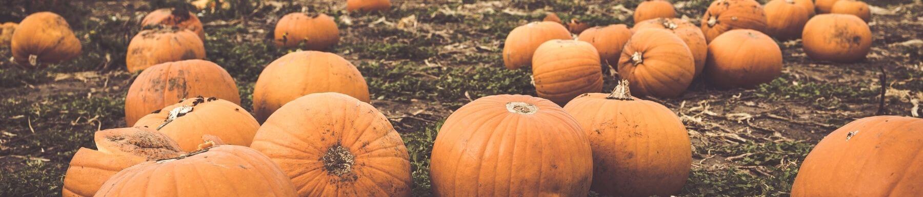How to Plan a Spooktacular Halloween Without the Stress