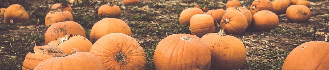 Header image for a blog about planning the perfect Halloween.