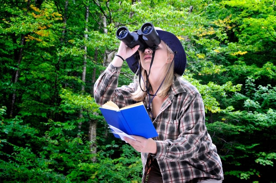 How a Bird Watching Planner Can Make Birding More Rewarding