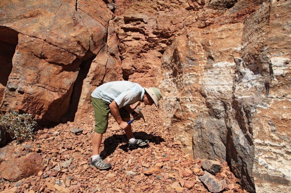 How to Organize Your Rock Collection and Get More Out of Every Rockhounding Adventure