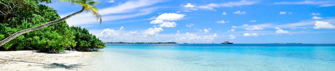 Vacation Planning Made Simple: Organized, Budget-Friendly, and Memorable