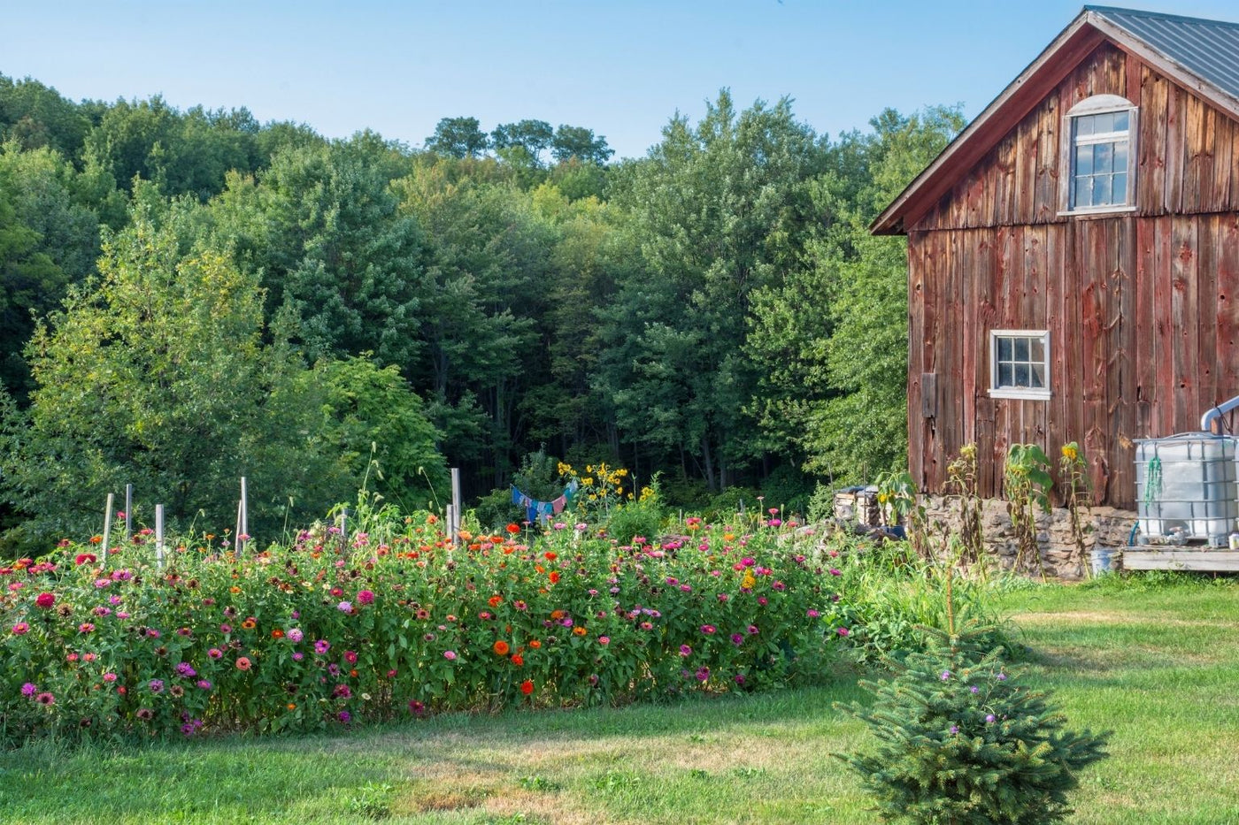 Farm & Animal Care