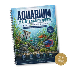 Aquarium Maintenance Guide