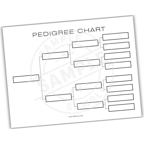 Blank pedigree chart template on a white background