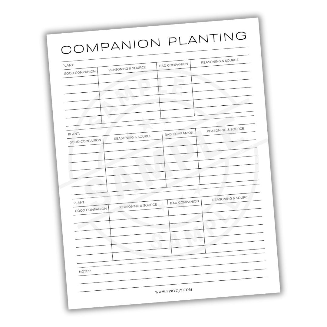 Sheet of paper with 'Companion Planting' chart on a white background