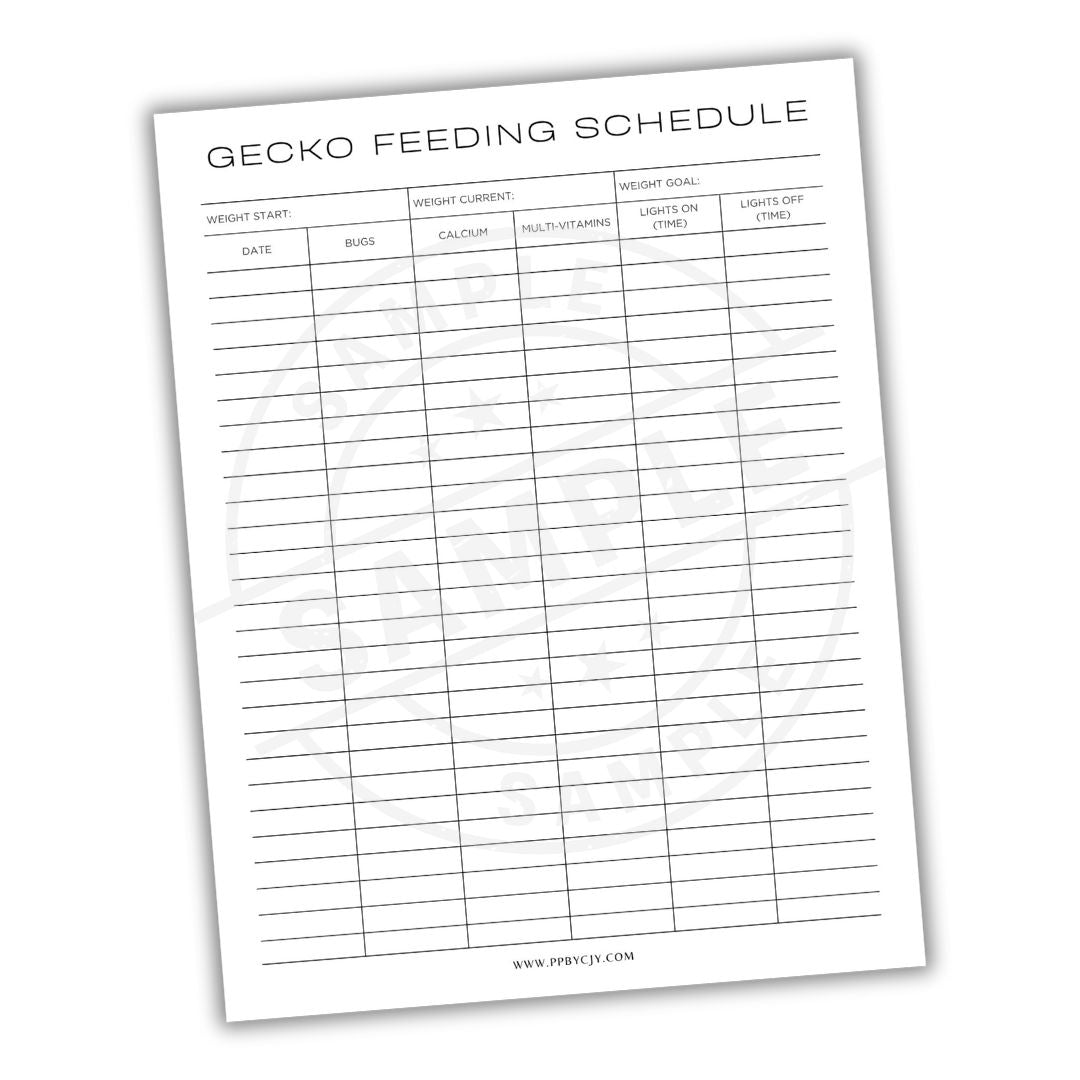 Gecko feeding schedule sheet on a white background