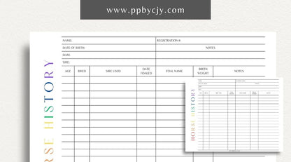 Equine Horse Record Printable Template – Digital Download for Comprehensive Tracking of Horse Information with sections for health, training, performance, and other essential details.