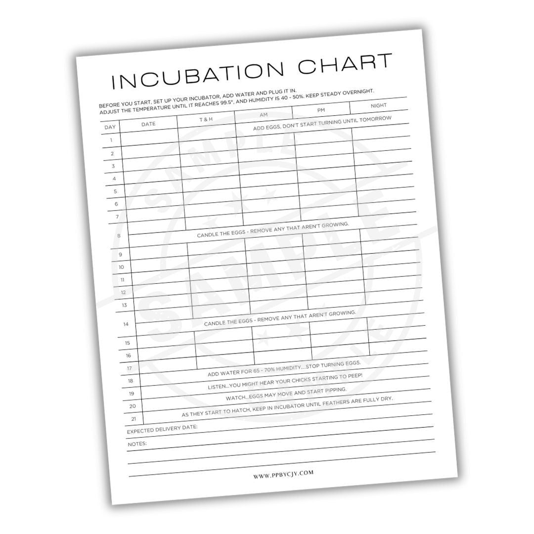 Incubation chart for poultry on a white background