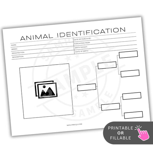 Animal identification form with checkboxes and photo section on a white background