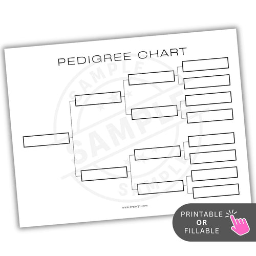 Blank pedigree chart with text 'Pedigree Chart' and a website URL on a white background.