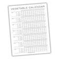 Vegetable calendar sheet with planting and harvesting dates on a white background