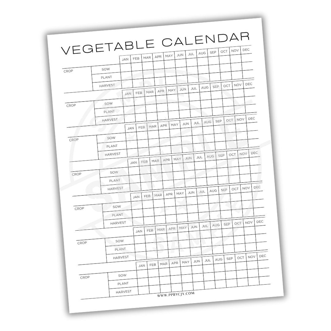 Vegetable calendar sheet with planting and harvesting dates on a white background
